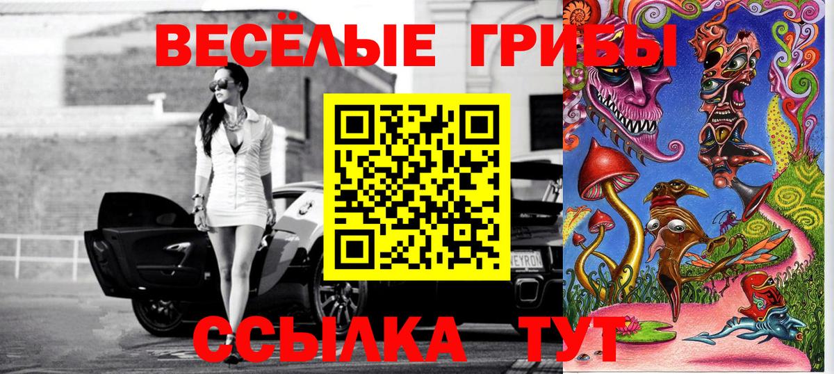 Псилоцибиновые грибы Cubensis  Вход с VPN  Хасавюрт  Псилоцибиновые грибы мухоморы 